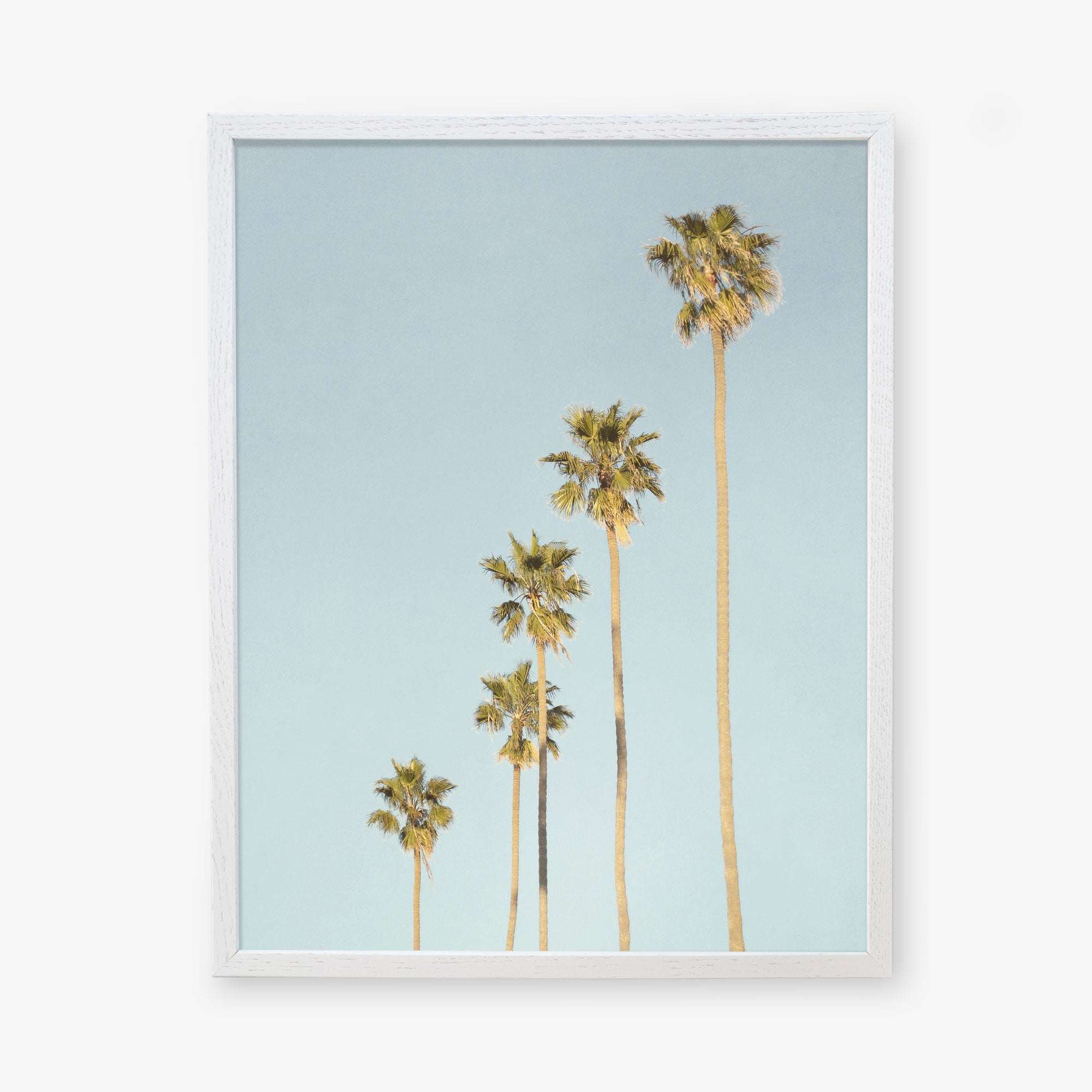 A framed Los Angeles Palm Tree Photographic Print &#39;Palm Tree Steps&#39; by Offley Green, featuring five tall palm trees against a clear sky in a minimalist California style with a focus on vertical lines and light colors.