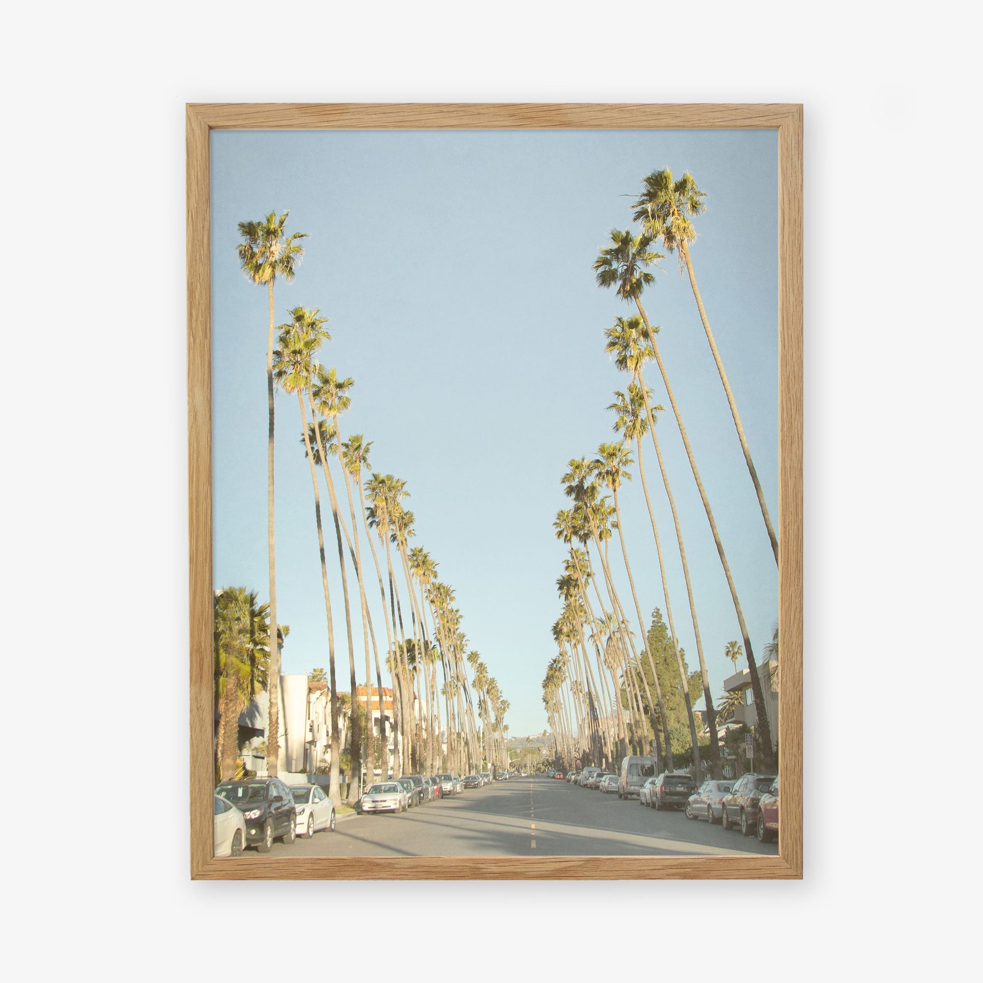 A framed picture of Los Angeles Palm Tree Lined Street 'Sunset Boulevard Dreams', lined with tall palm trees and parked cars, evoking a calm, suburban atmosphere by Offley Green.