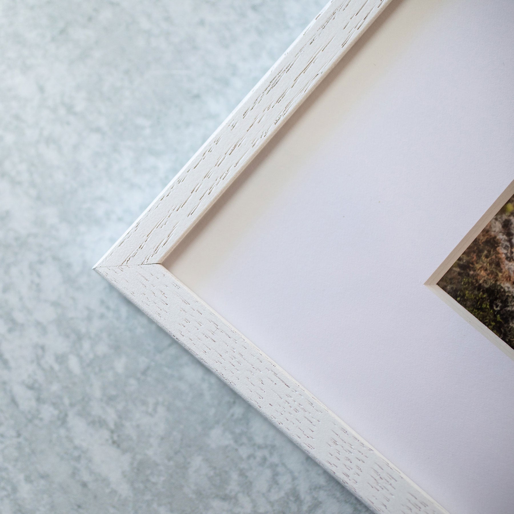 Close-up view of a corner of a white distressed wooden picture frame on a pale grey textured surface, partially displaying a mounted Pink Rose Print on archival photographic paper by Offley Green.