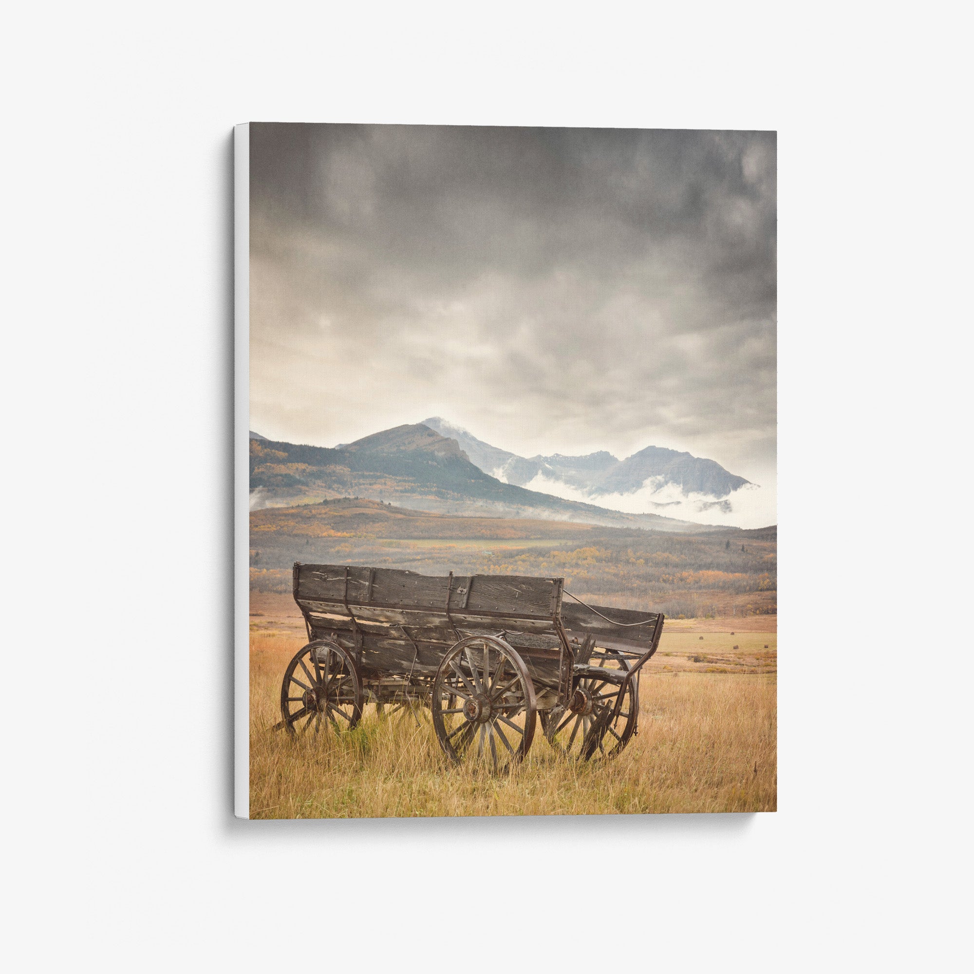 Rustic Farmhouse Canvas Wall Art, &#39;Old Wagon&#39;