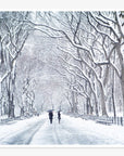 New York Central Park Print, 'The Mall In Winter'