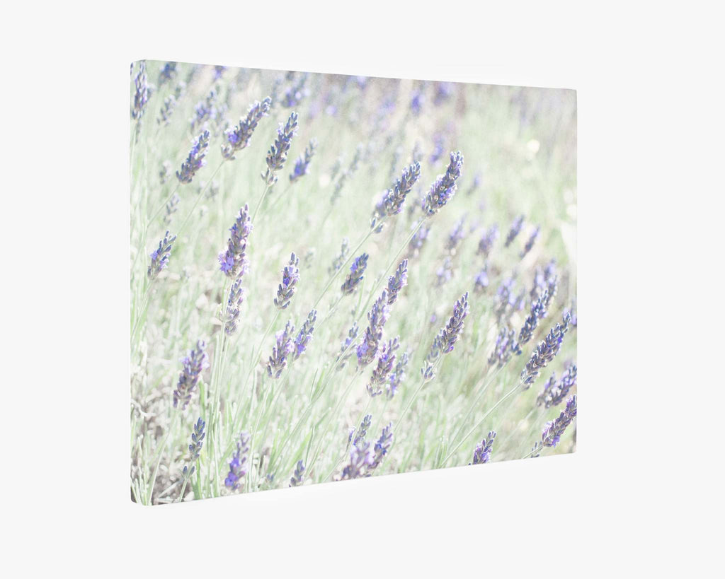 Floral Purple Canvas Wall Art, 'Lavender for LaLa'