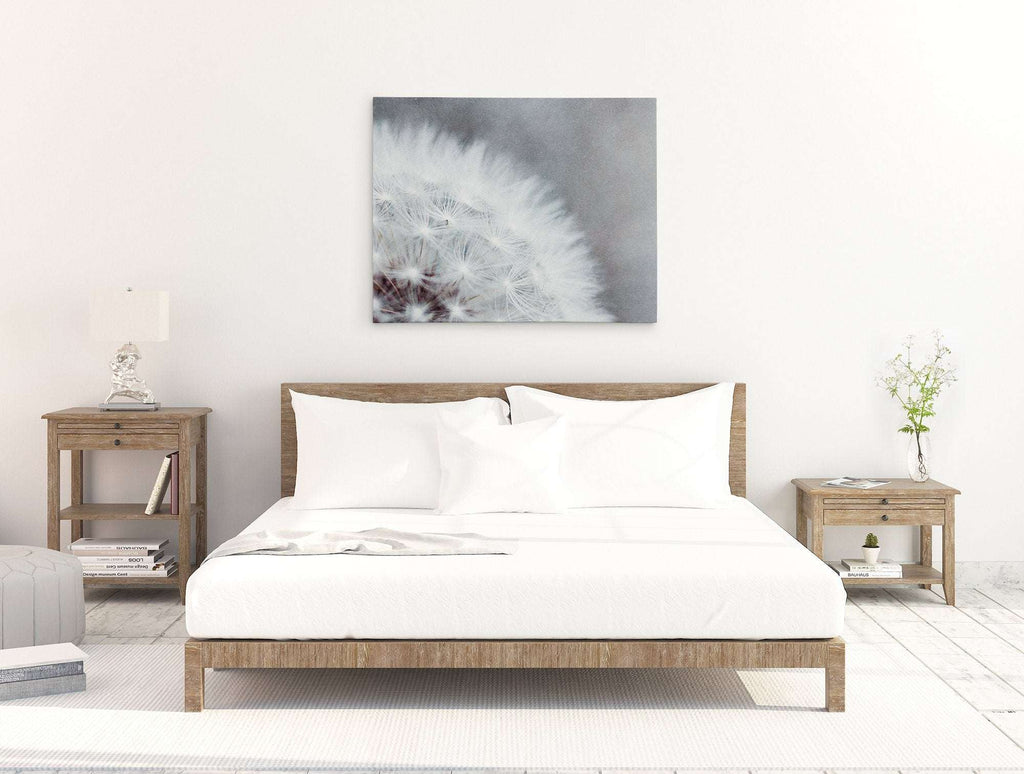 Grey Botanical Canvas Wall Art, 'Dandelion Queen'