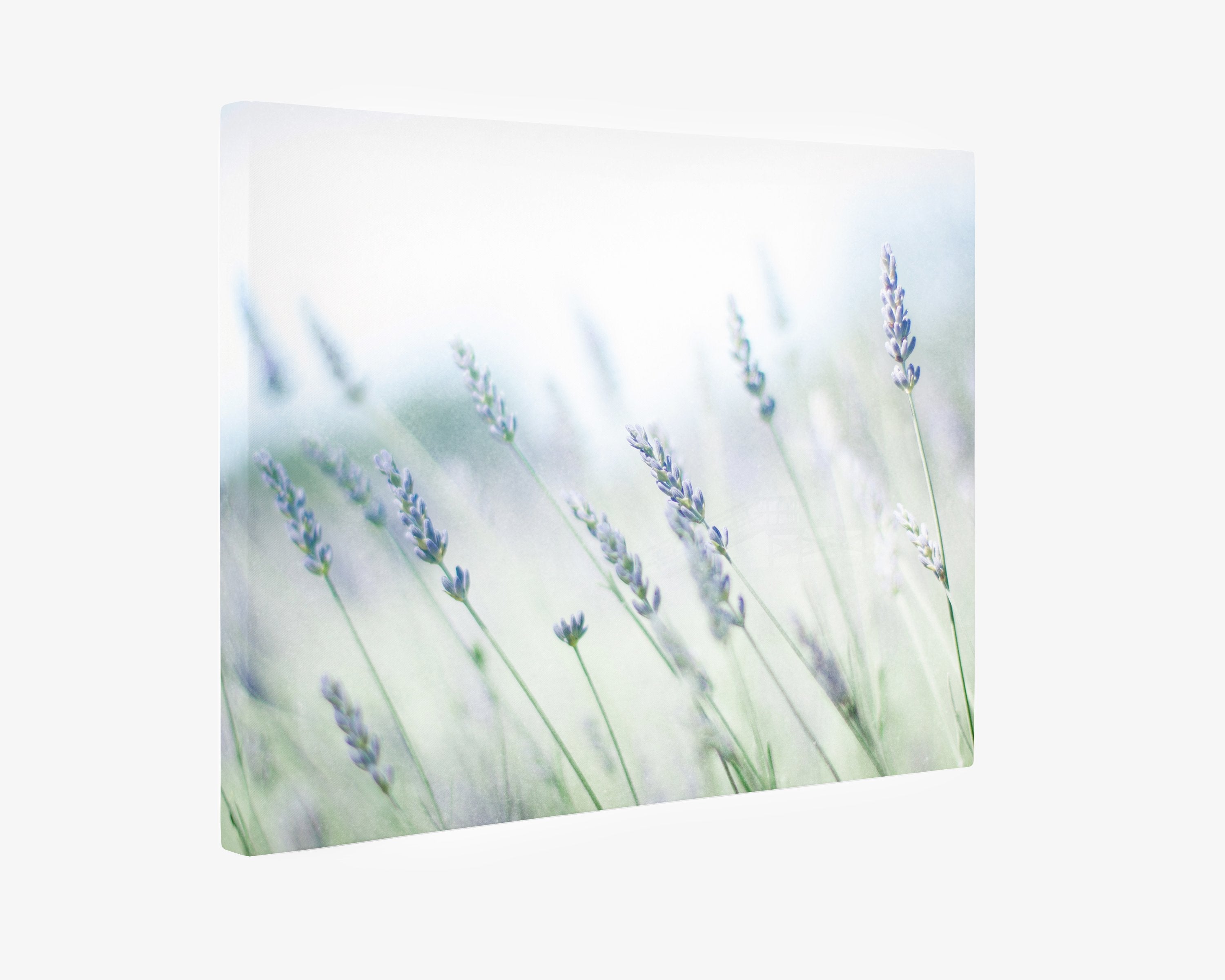 A Rustic Farmhouse canvas gallery wrap featuring a soft-focus image of lavender flowers, with a gentle gradient of green to blue hues creating a serene and dreamy atmosphere by Offley Green.