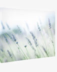 Rustic Farmhouse Canvas Wall Art, 'Buds of Lavender'