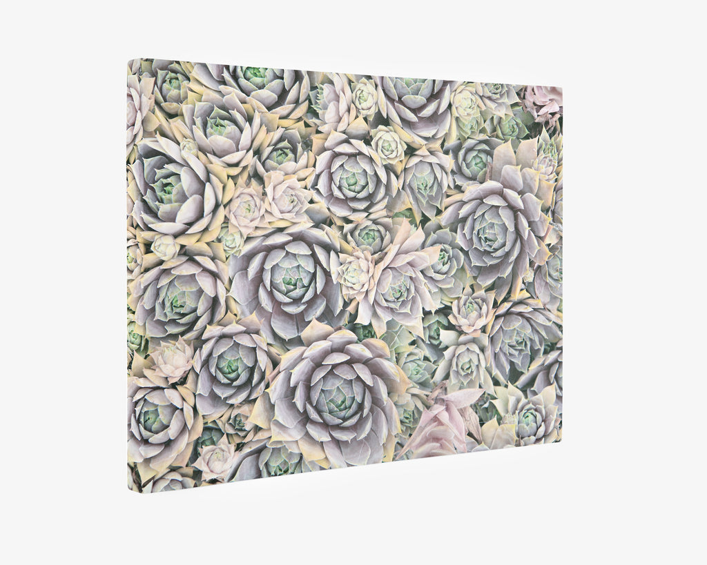 Pastel Sage Green Canvas Wall Art 'Succulents Forever'