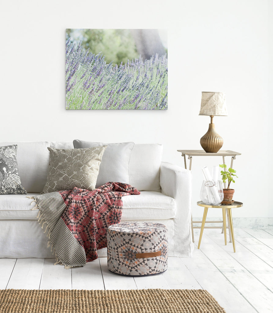 Rustic Canvas Wall Art, 'Fields of Lavender'