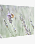 Rustic Canvas Wall Art, 'Lavender for Bees'