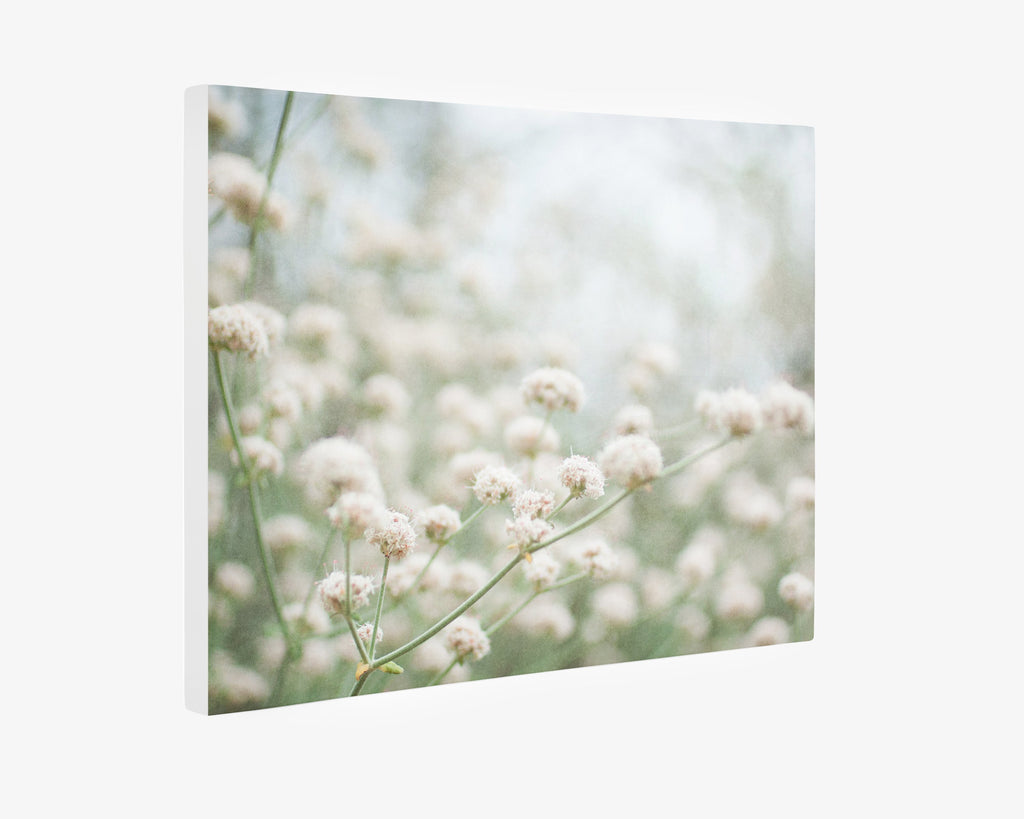 Rustic Farmhouse Floral Decor, 'Ball-Balls of Cotton'