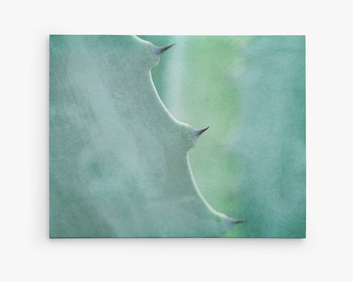 Mint Green Botanical Wall Art, 'Aloe Vera Spikes'