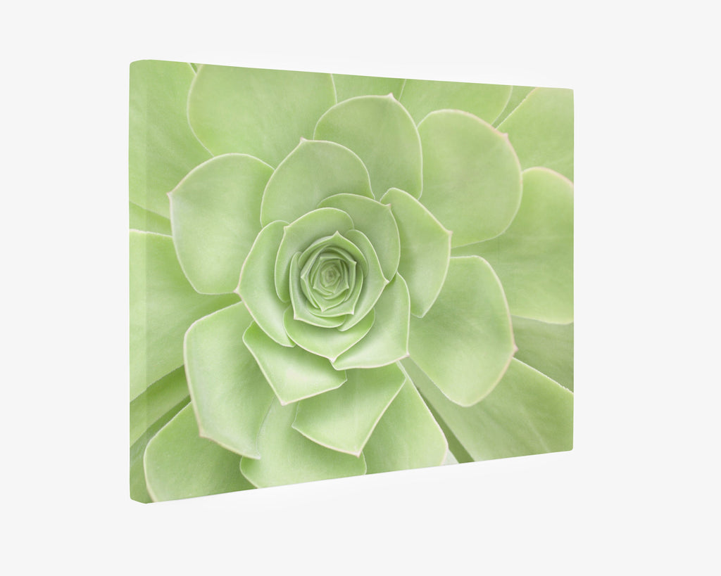 Abstract Botanical Canvas with a mirrored edge