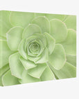 Abstract Botanical Canvas with a mirrored edge