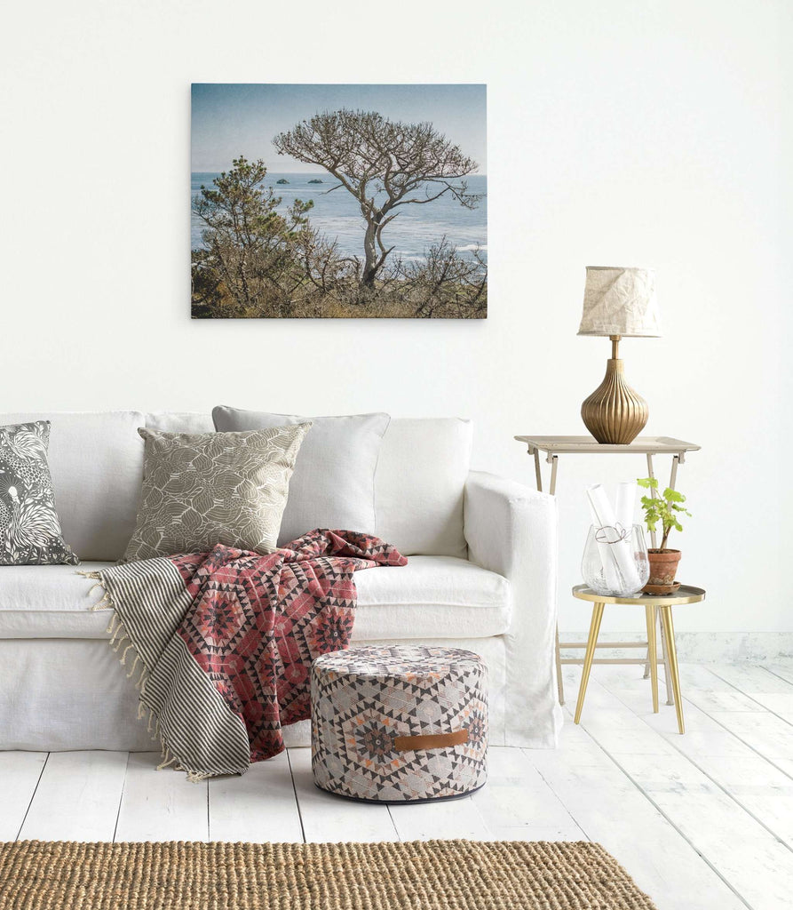 California Landscape Canvas Art in Big Sur, 'Wind Blown Tree'