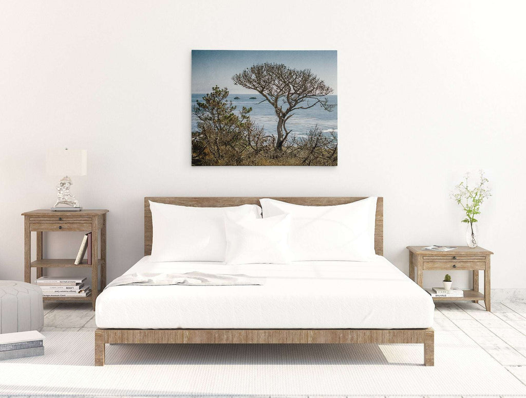 California Landscape Canvas Art in Big Sur, 'Wind Blown Tree'