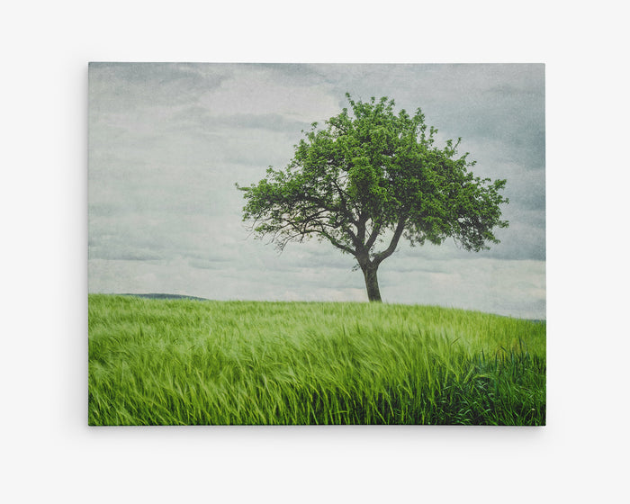 Rustic Countryside Canvas Wall Art, 'Tree in a Field'