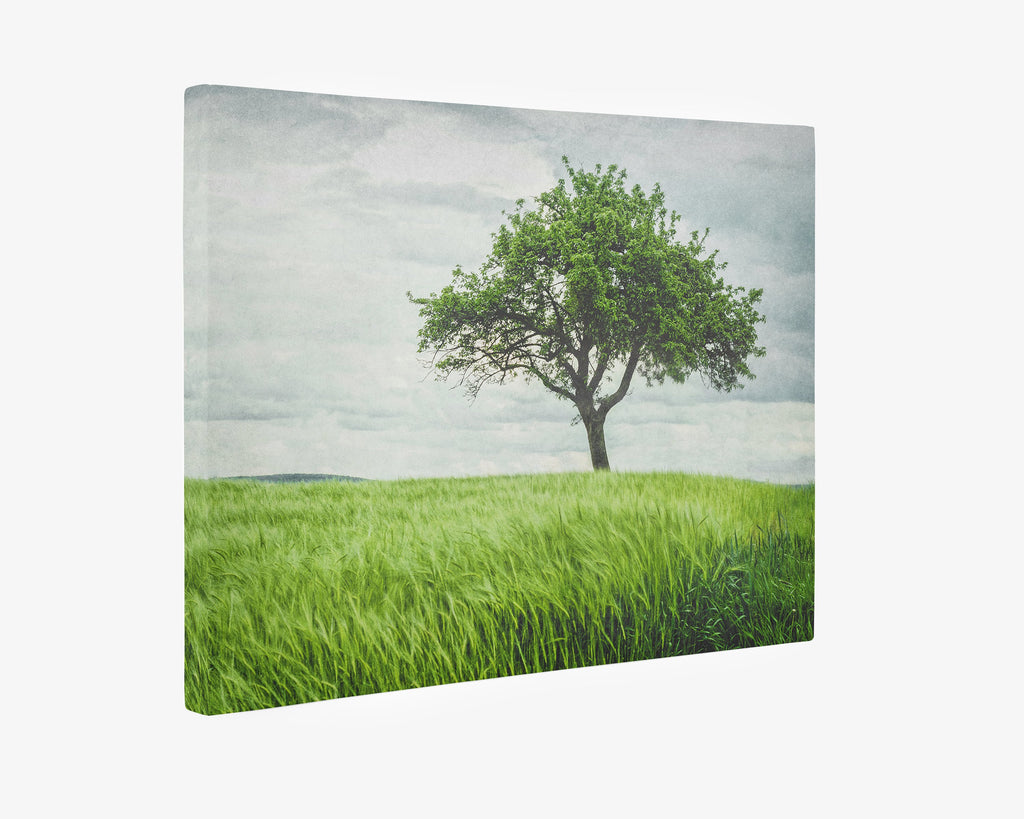 Rustic Countryside Canvas Wall Art, 'Tree in a Field'
