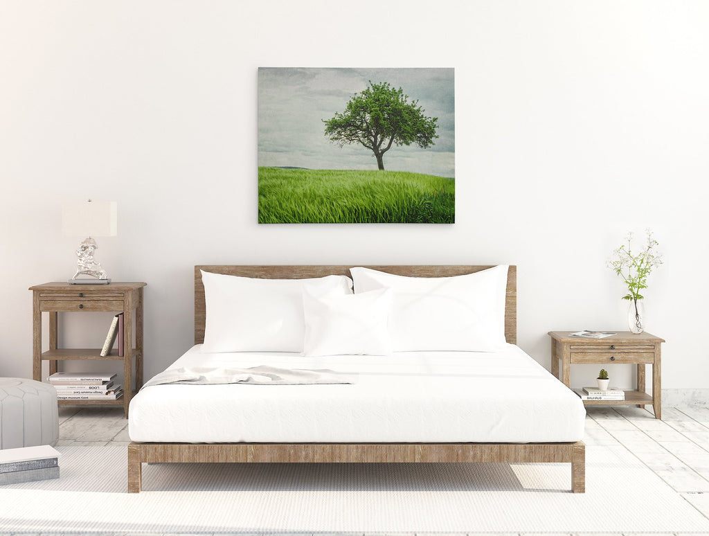 Rustic Countryside Canvas Wall Art, 'Tree in a Field'