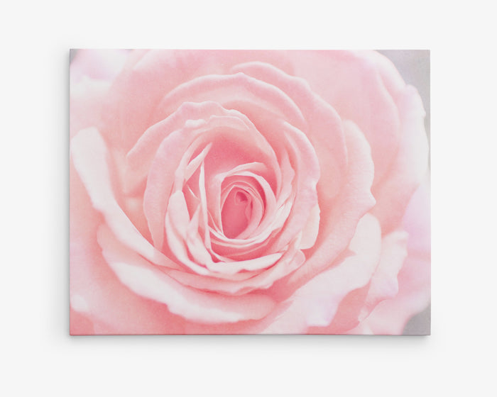 Canvas gallery wrap wall art of pink rose petals 