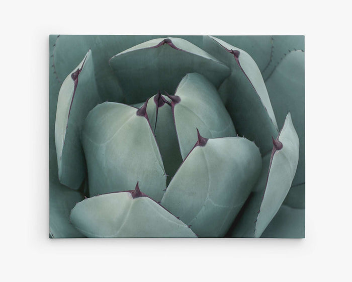 Abstract Teal Green Botanical Wall Art, 'Teal Petals'