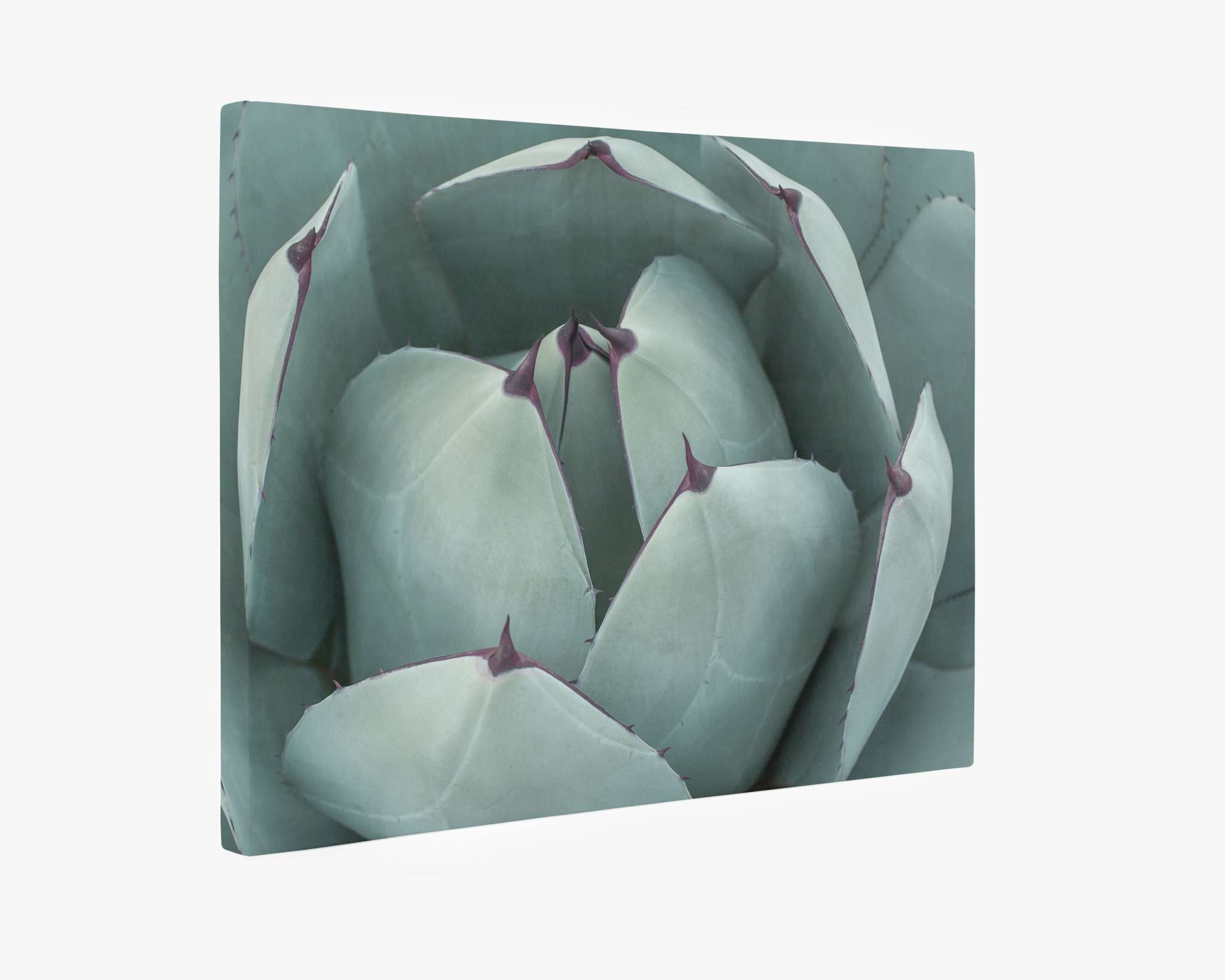 Abstract Teal Green Botanical Wall Art, &#39;Teal Petals&#39;
