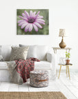 Purple Daisy Flower Wall Art, Floral Botanical Decor, 'Purple Daisy'
