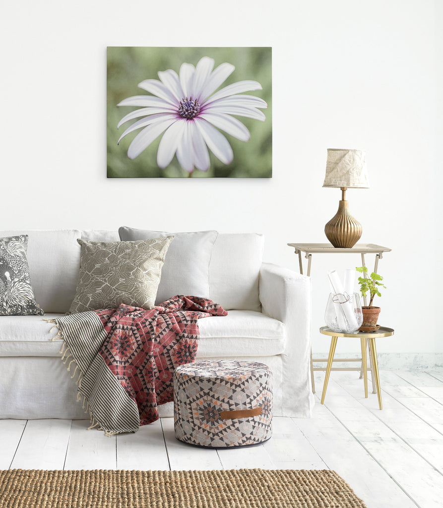 White Daisy Flower Canvas Wall Art, 'Pure Daisy'