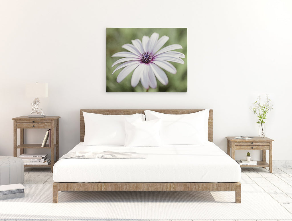 White Daisy Flower Canvas Wall Art, 'Pure Daisy'