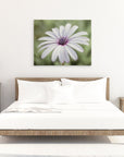 White Daisy Flower Canvas Wall Art, 'Pure Daisy'
