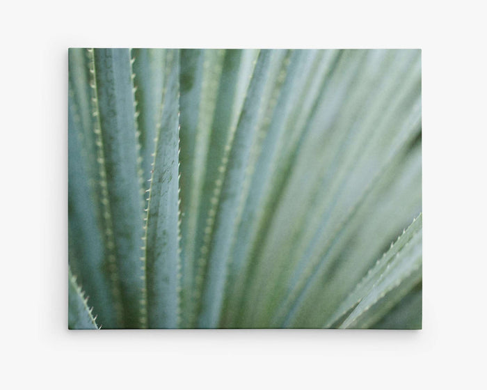 Abstract Green Botanical Canvas Wall Art, 'Strands and Spikes'