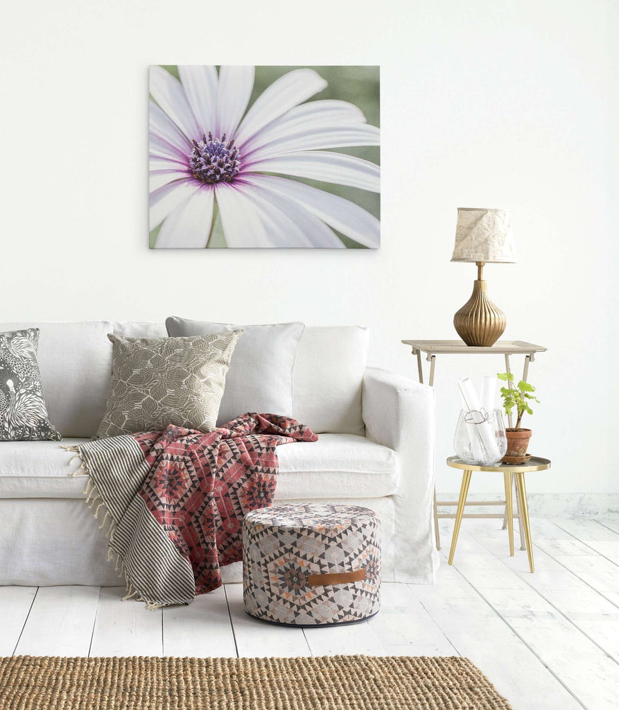 Large White Daisy Flower Picture, Floral Wall Art, 'Bed of Petals'
