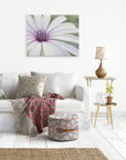 Large White Daisy Flower Picture, Floral Wall Art, 'Bed of Petals'