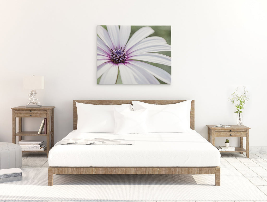 Large White Daisy Flower Picture, Floral Wall Art, 'Bed of Petals'