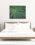 A minimalist bedroom featuring a neatly made bed with white linens, wooden side tables with lamps, and a large Offley Green Abstract Green Botanical Canvas Wall Art, 'Desert Fireworks' above the bed.