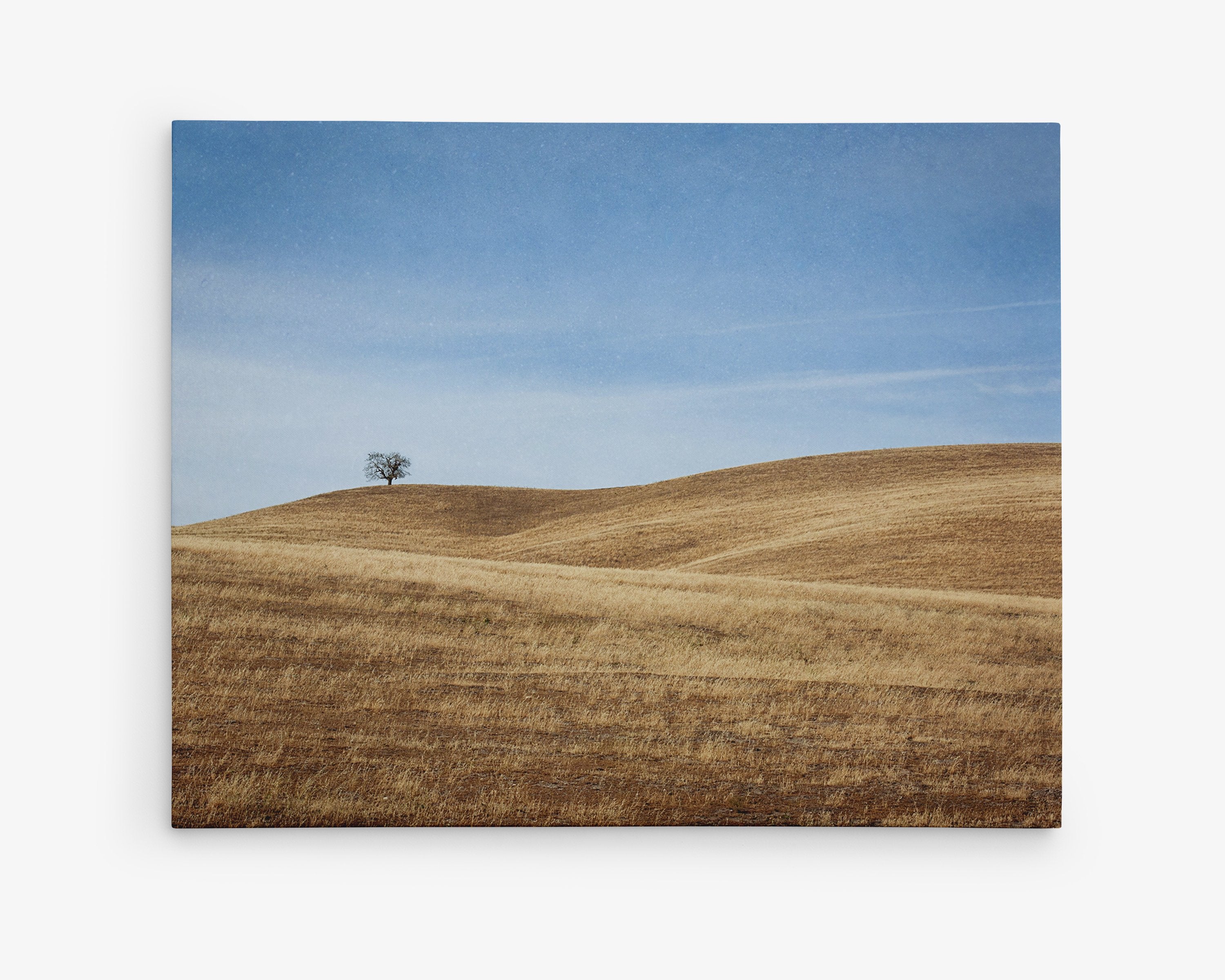 rustic canvas print of a tree on a hill