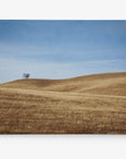 rustic canvas print of a tree on a hill