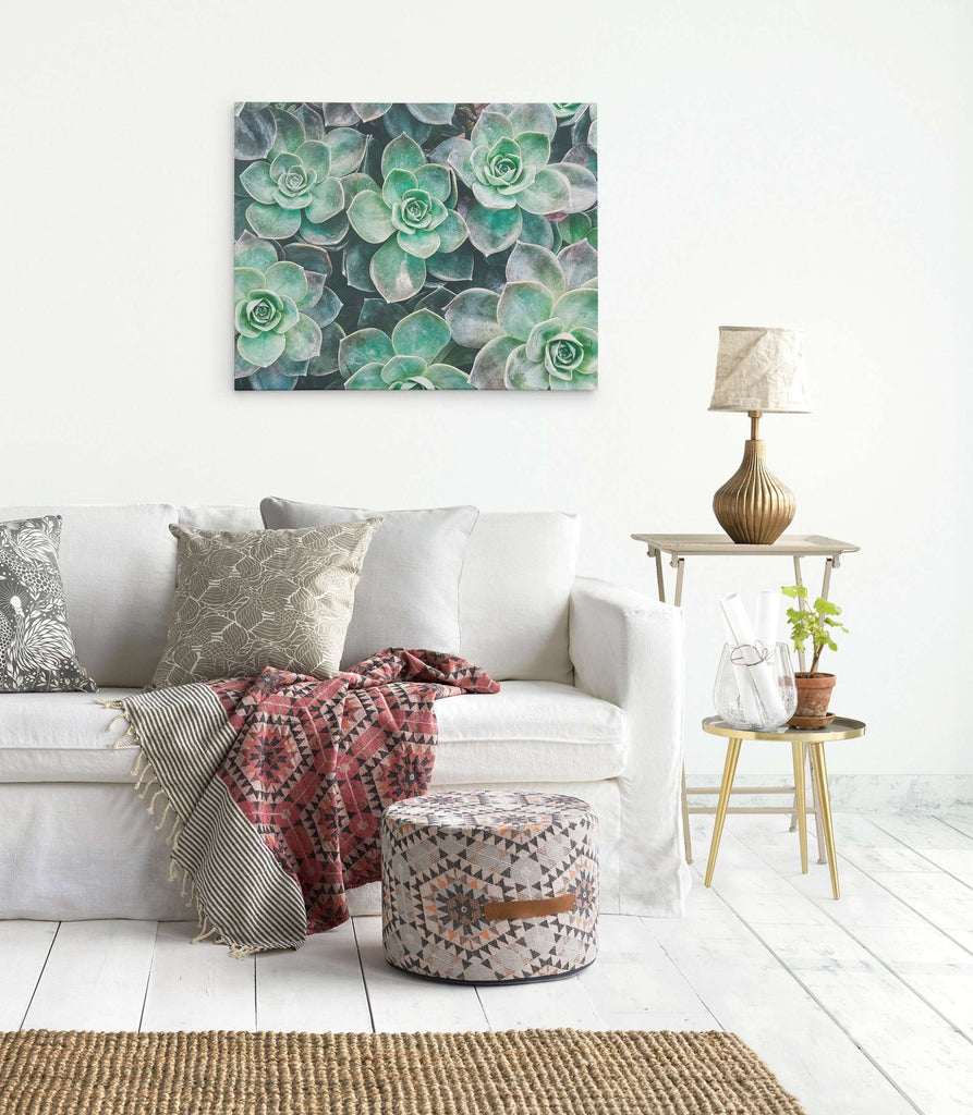 Fresh Green Succulent Canvas Wall Art, 'Bed of Succulents'
