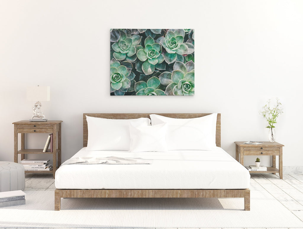 Fresh Green Succulent Canvas Wall Art, 'Bed of Succulents'