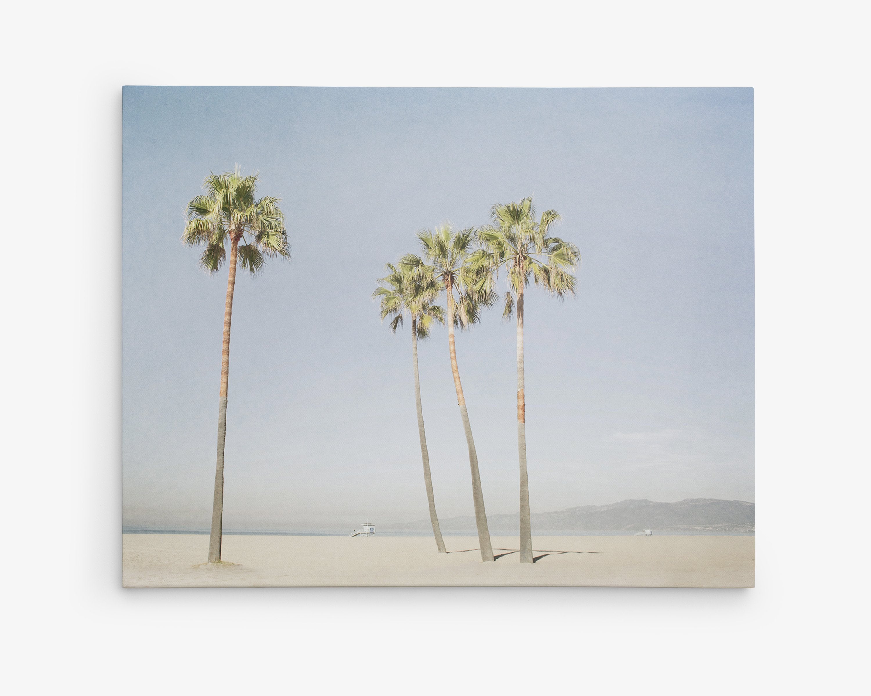 Canvas Print of Three Palm Trees on the Venice Beach Boardwalk