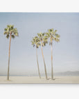 California Venice Beach Canvas Wall Art, 'Boardwalk Palms'