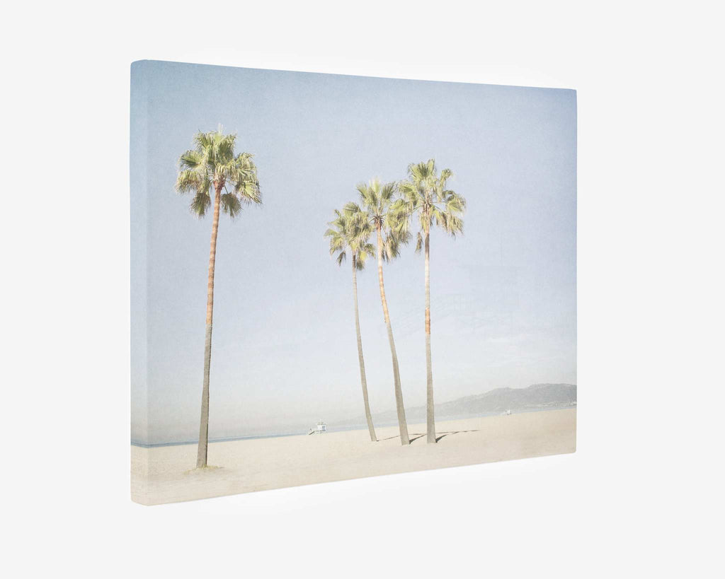 California Venice Beach Canvas Wall Art, 'Boardwalk Palms'