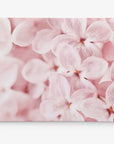 Pink Botanical Canvas Wall Art, 'Bed of Lilacs'