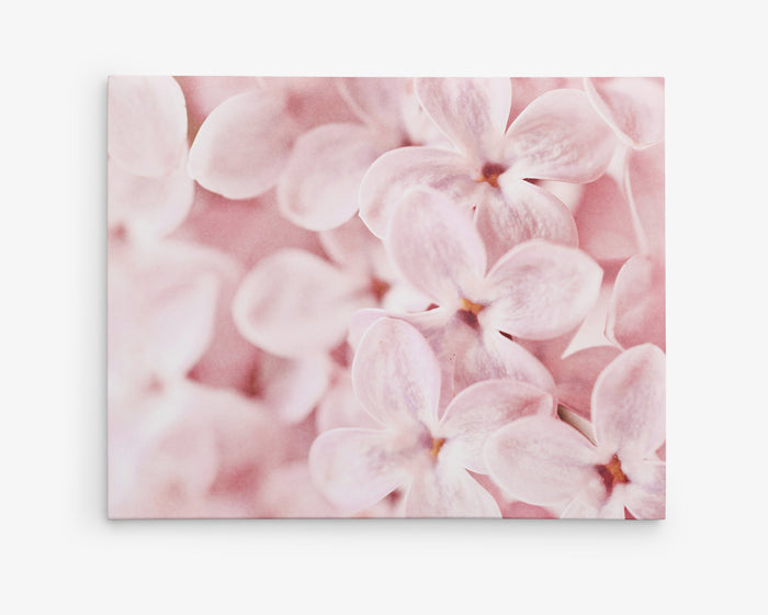 Pink Botanical Canvas Wall Art, 'Bed of Lilacs'