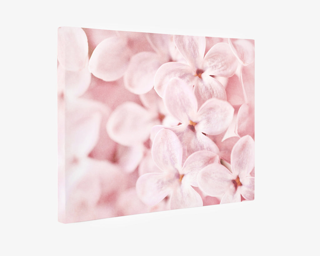 Pink Botanical Canvas Wall Art, 'Bed of Lilacs'