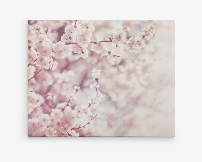 Pink Canvas Wall Art, 'Dreamy Blossom'