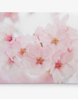 Pink Flower Canvas Wall Art of Cherry Blossom