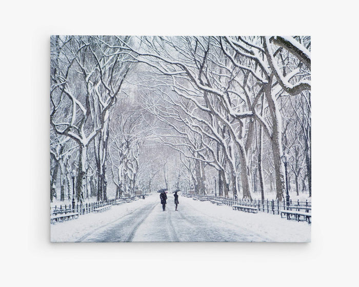 New York Central Park Wall Art, 'The Mall In Winter'
