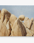 Joshua Tree Canvas Wall Art, 'Rock Formations'
