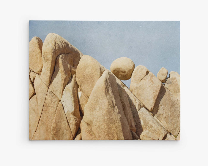 Joshua Tree Canvas Wall Art, 'Rock Formations'