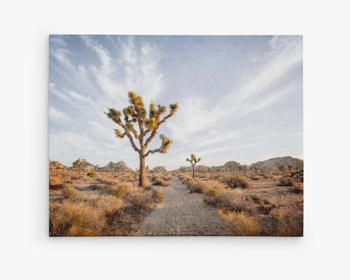 Joshua Tree Canvas Print Wall Art
