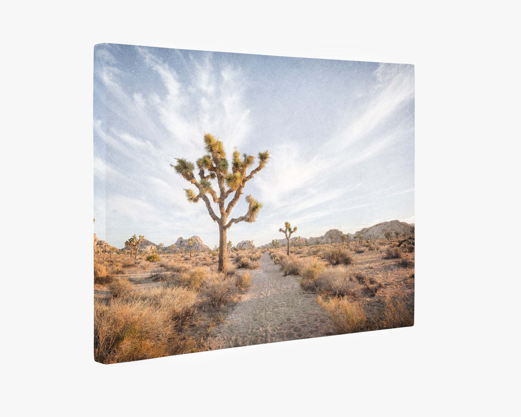 Joshua Tree Canvas Wall Art, 'Path to Joshua'